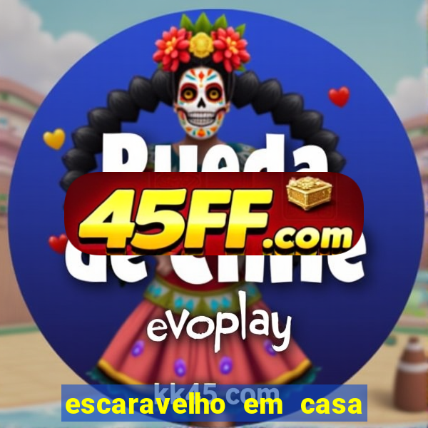 escaravelho em casa significado espiritual